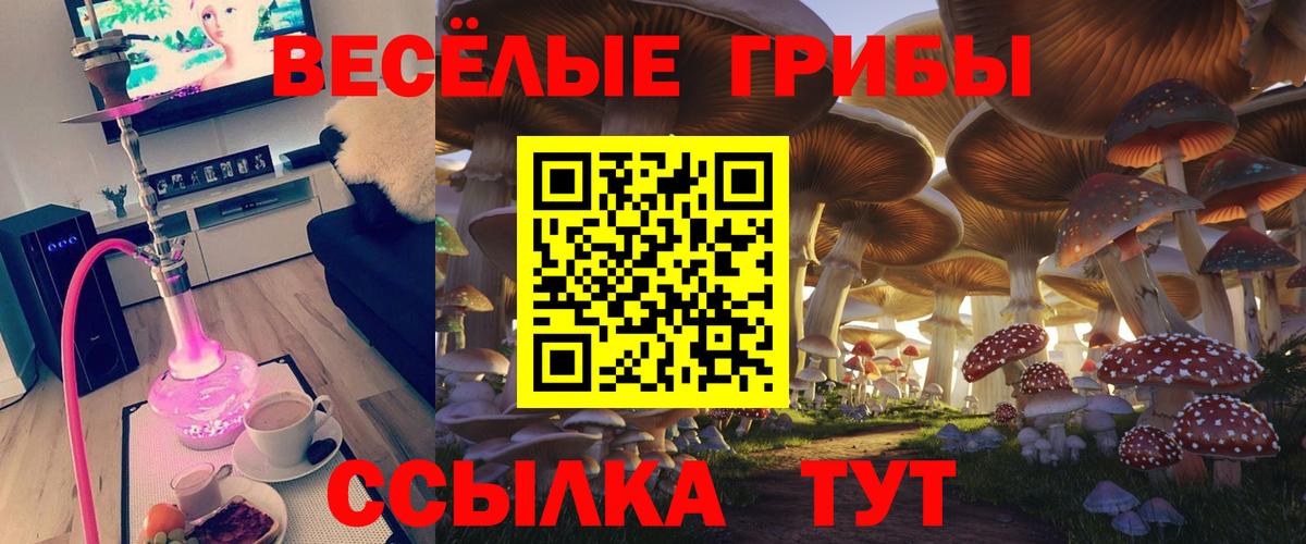 Серпухов  Галлюциногенные грибы мицелий  Вход с VPN 